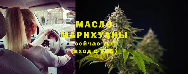 mix Богородицк