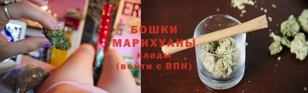 mix Богородицк