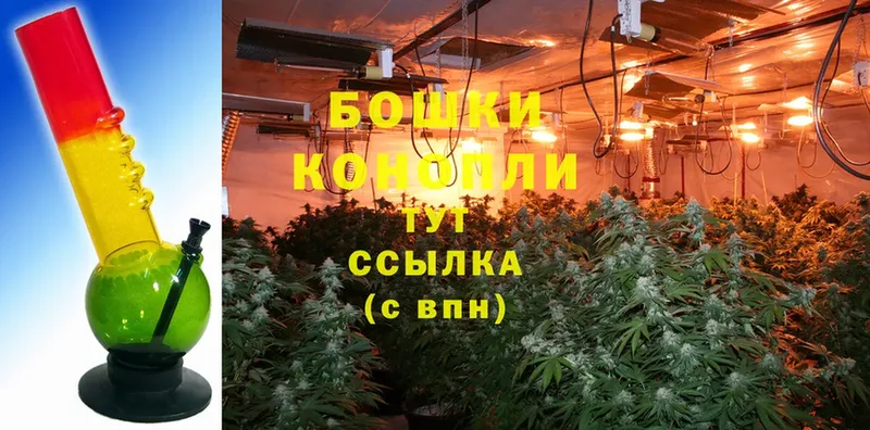 купить наркотик  Ярцево  Бошки марихуана OG Kush 